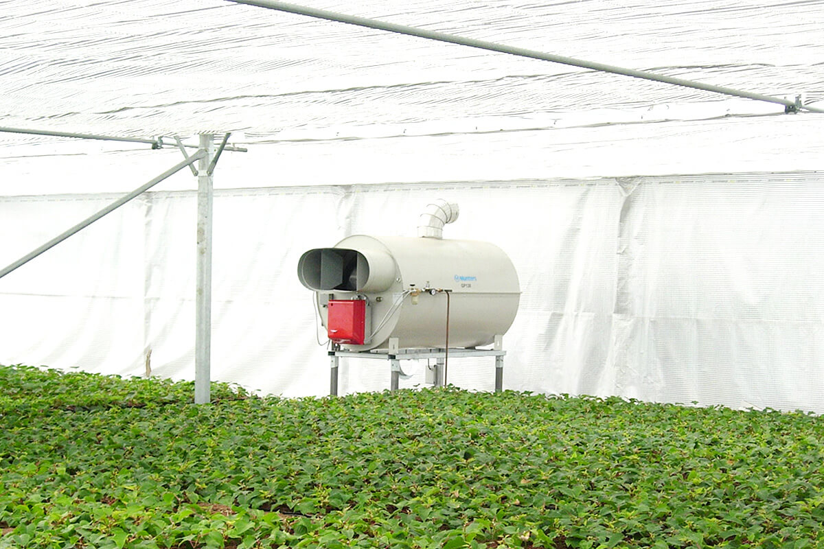 greenhouse heating